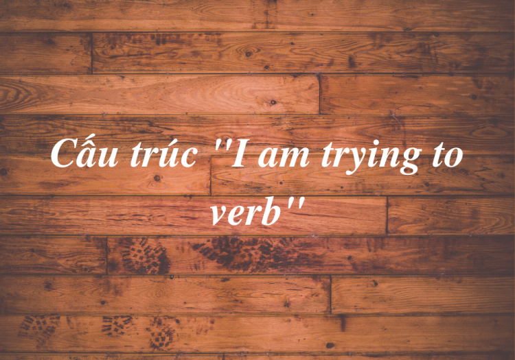 Cấu Trúc “I Am Trying To Verb”