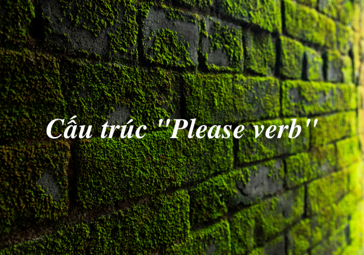 Cấu Trúc “Please Verb”