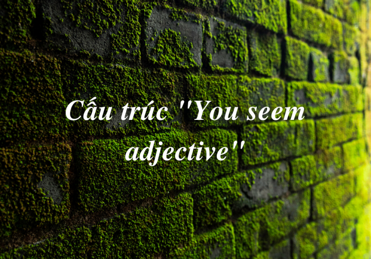 Cấu Trúc “You Seem Adjective”